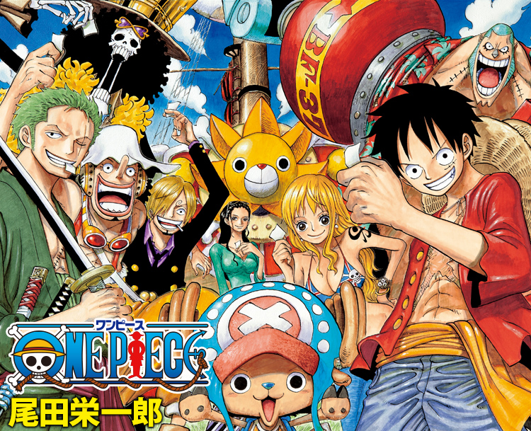 one piece one book
